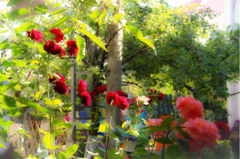 Фото Домашний уют