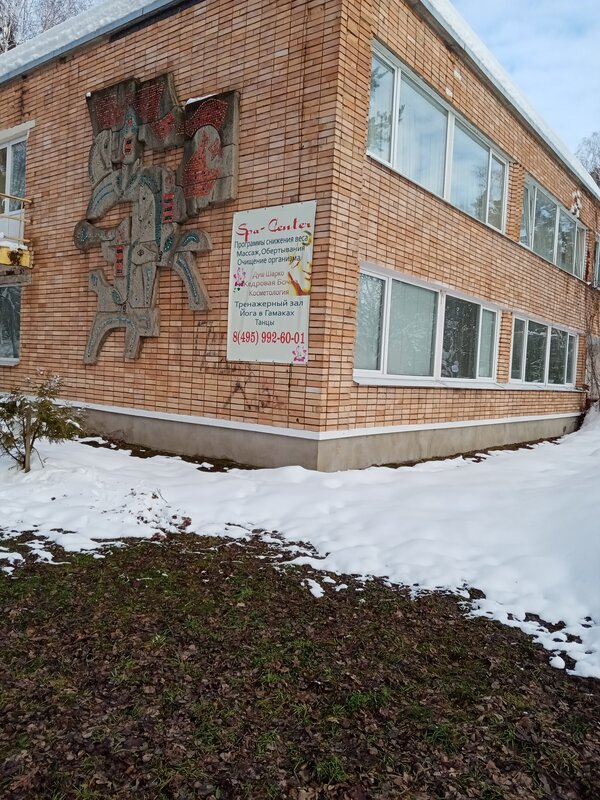 Солнечная поляна — фото 21