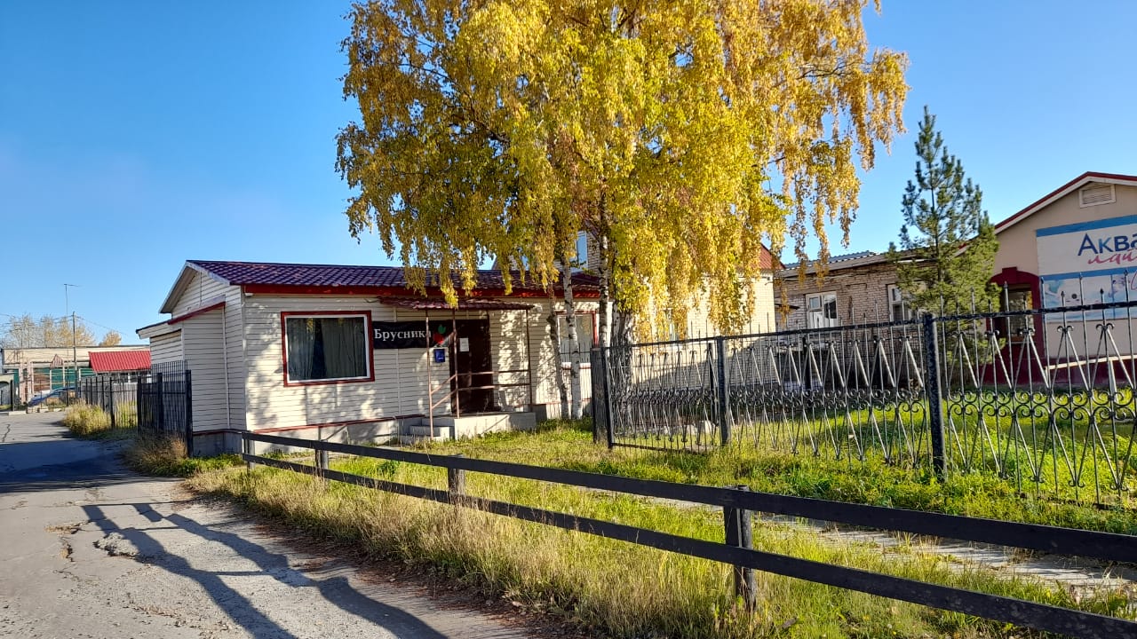 Фото Брусника