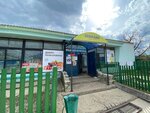 Авокадо (derevnya Stary Piniger, Shkolnaya ulitsa, 1А), grocery