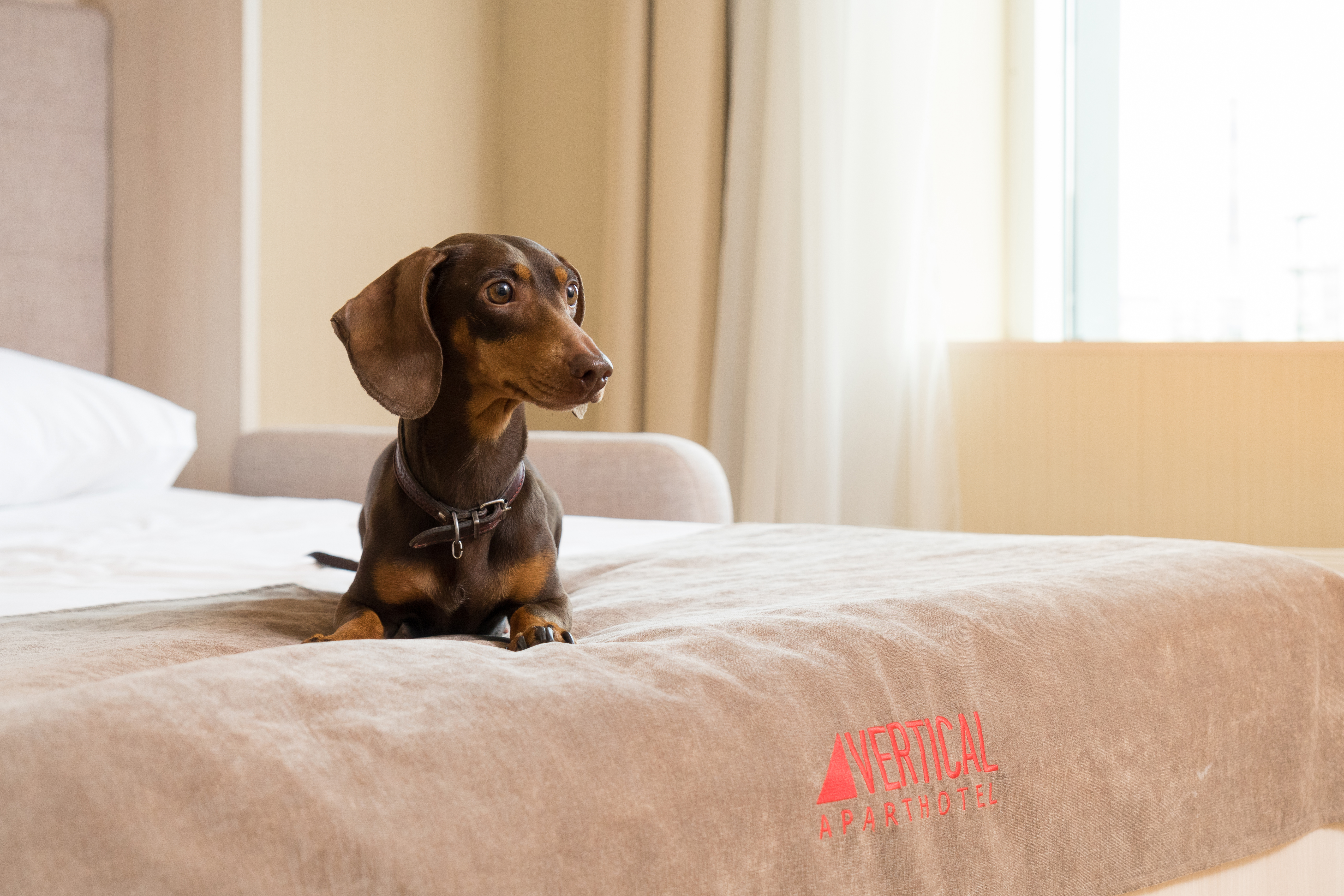 Фото Vertical Фрунзенская