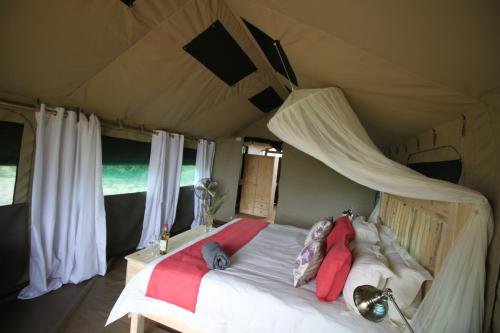 Фото Tlouwana Camp