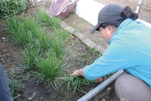 Фото He Sen Hotel