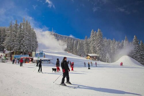 Гостиница Rivendell Apartments Sequoia Borovets