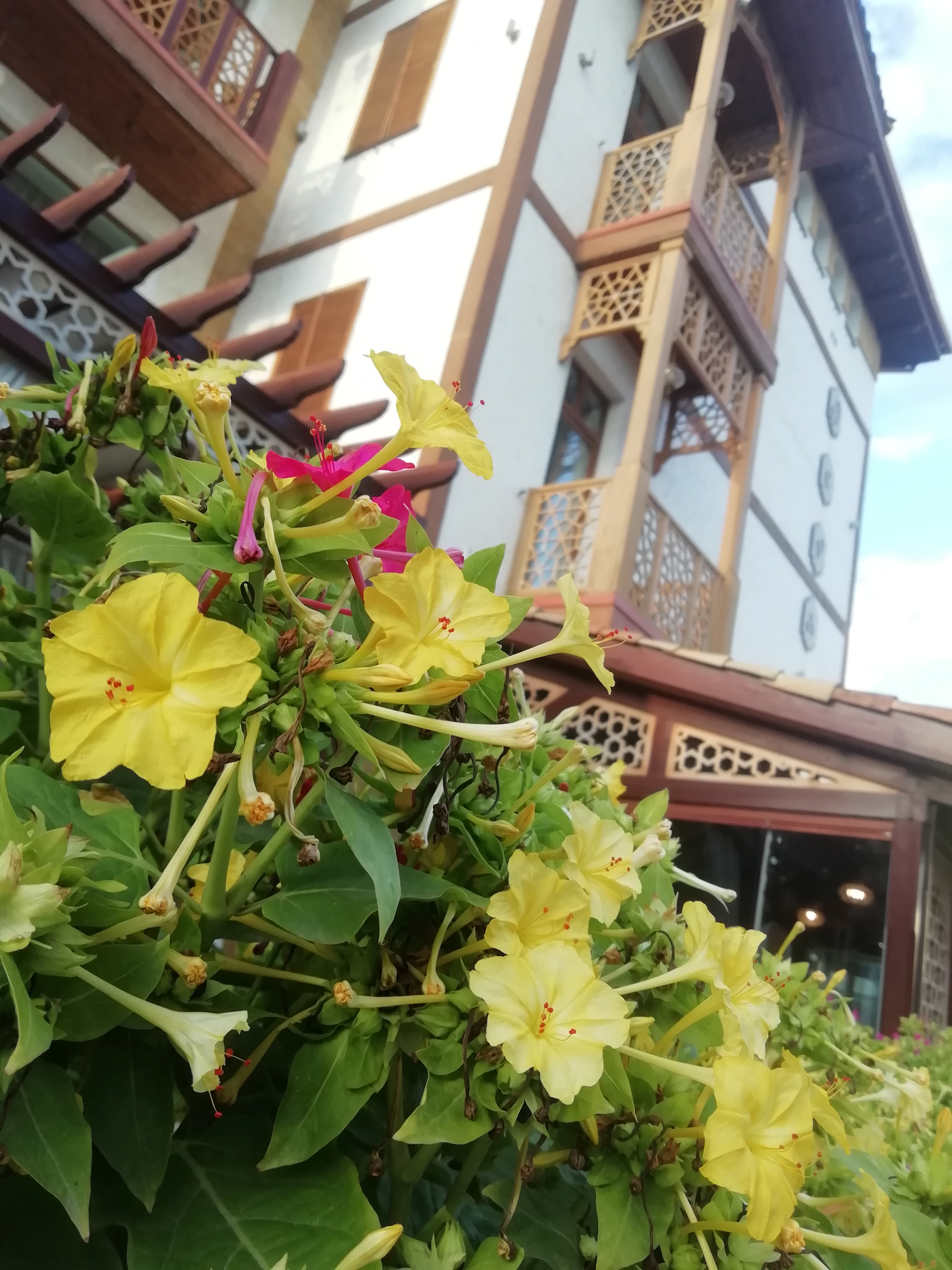 Фото Этно-отель Джеваль