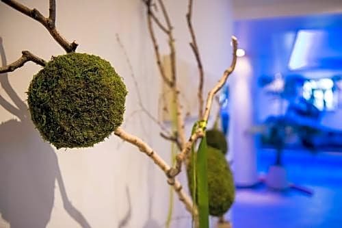 Фото Hotel Paradies