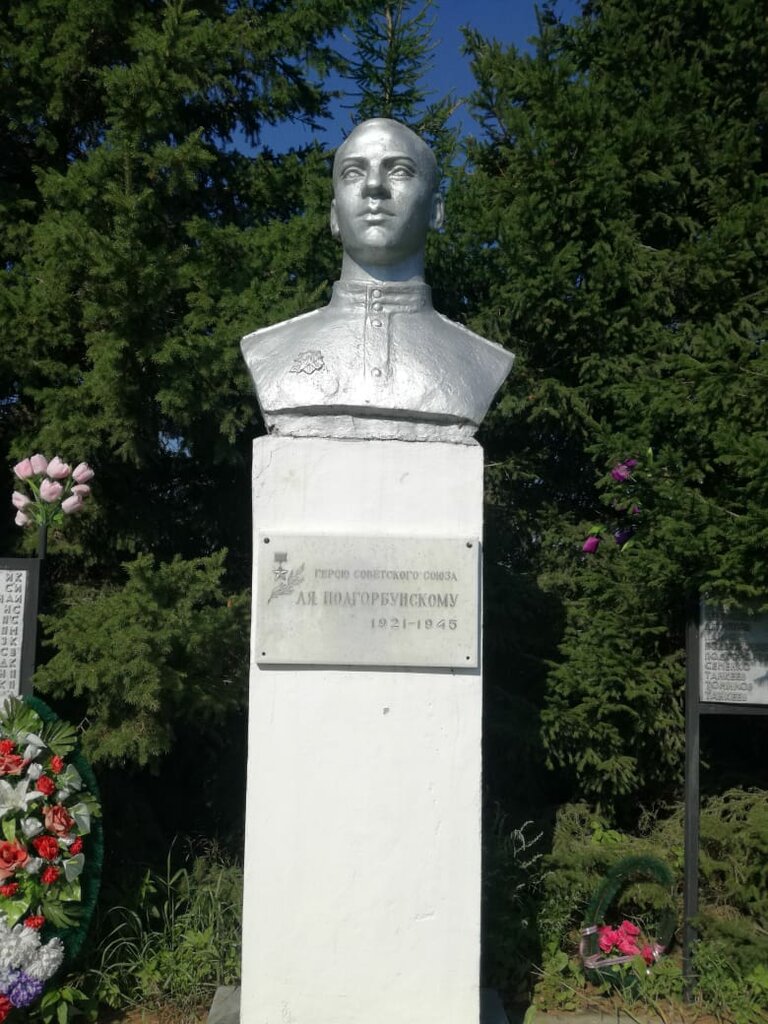 Monument, memorial Бюст Героя Советского Союза Леонида Яковлевича Подгорбунского, Novosibirsk Oblast, photo