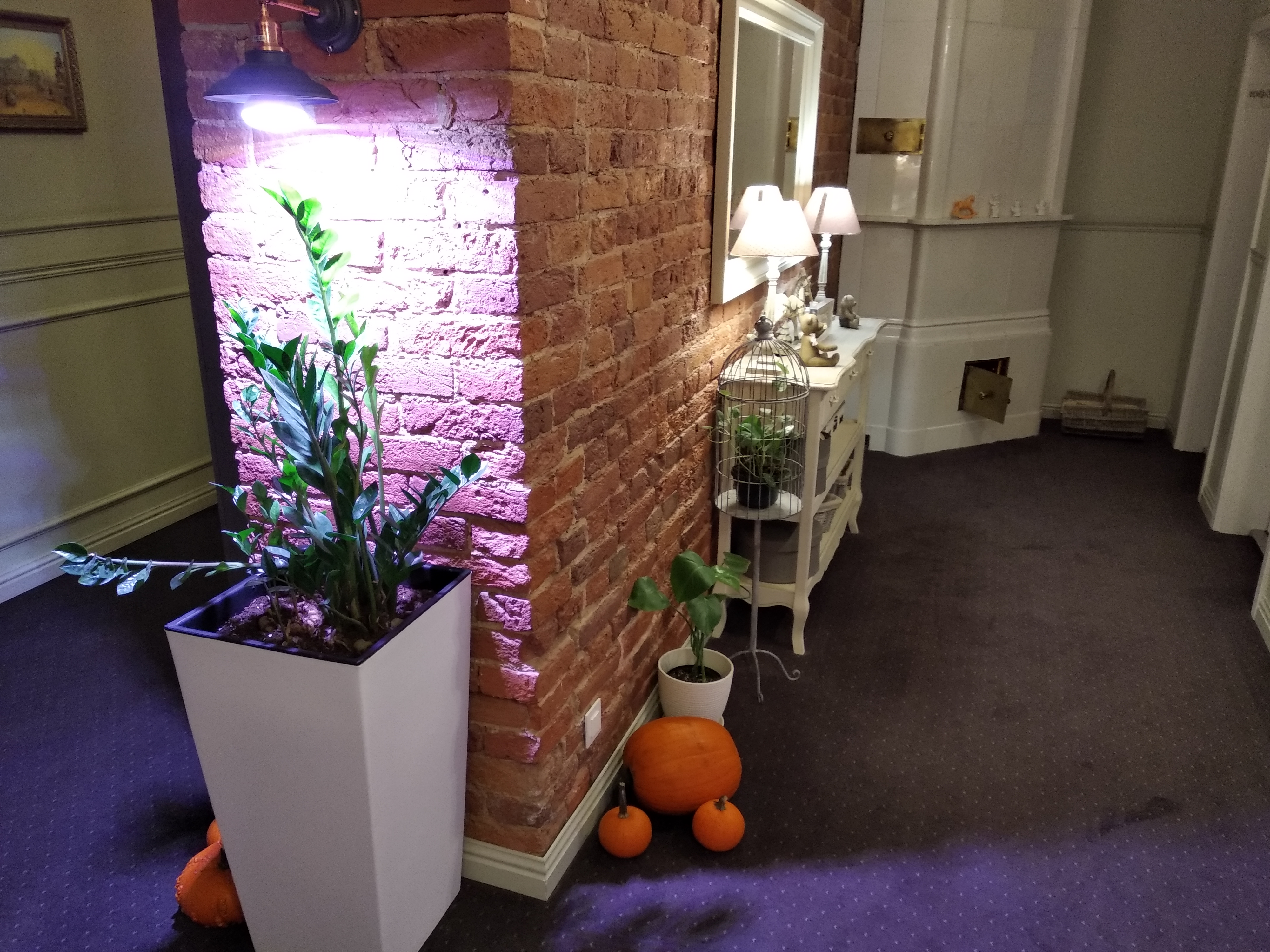 Фото Галунов