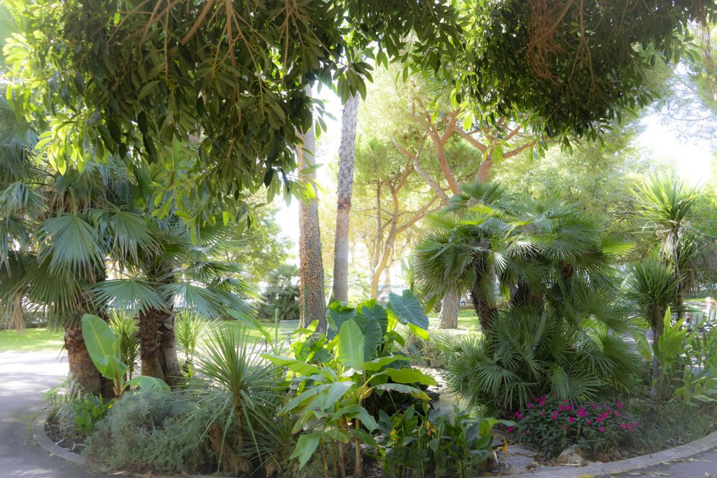 Фото Hotel Belle Plage