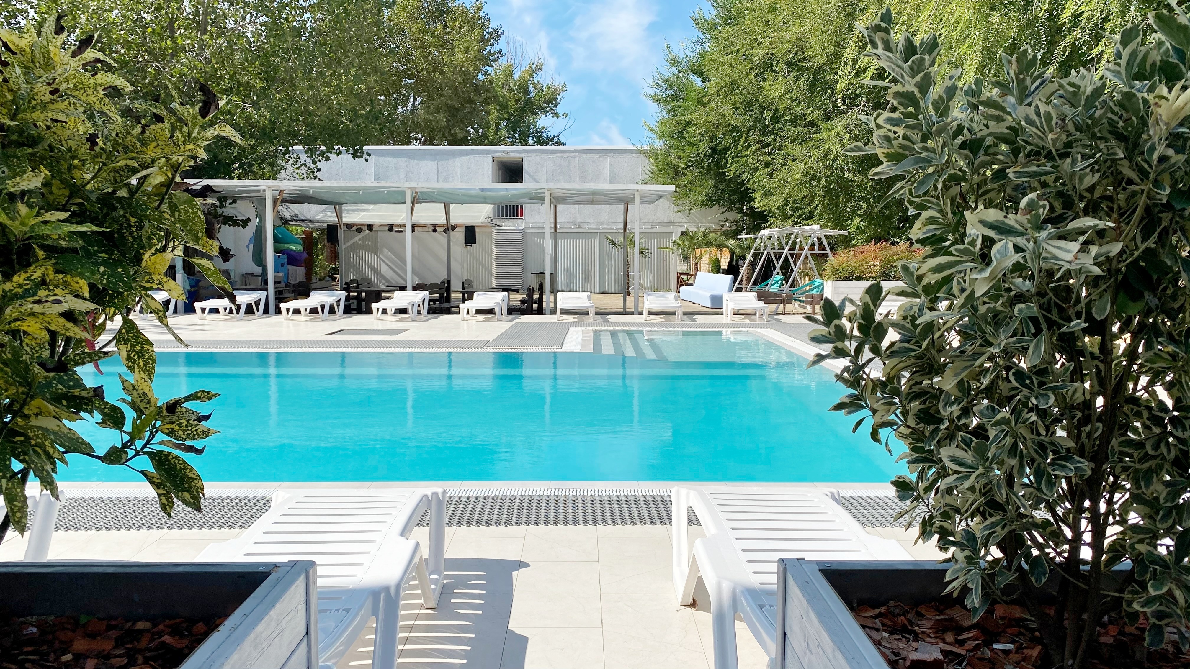 Фото Дублин Дельфин