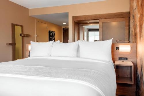 Фото Cambria Hotel Phoenix Chandler - Fashion Center