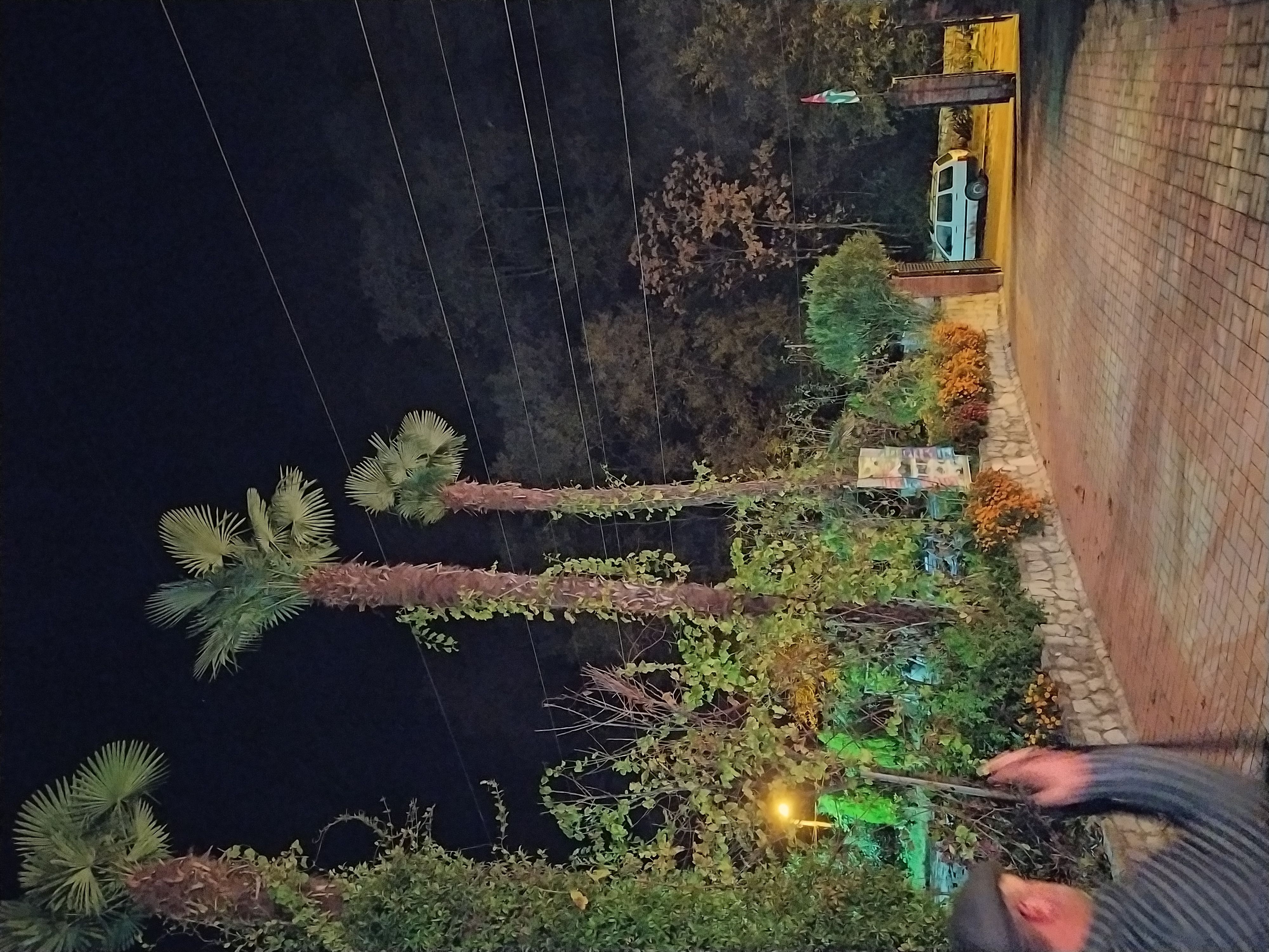 Фото Джанат