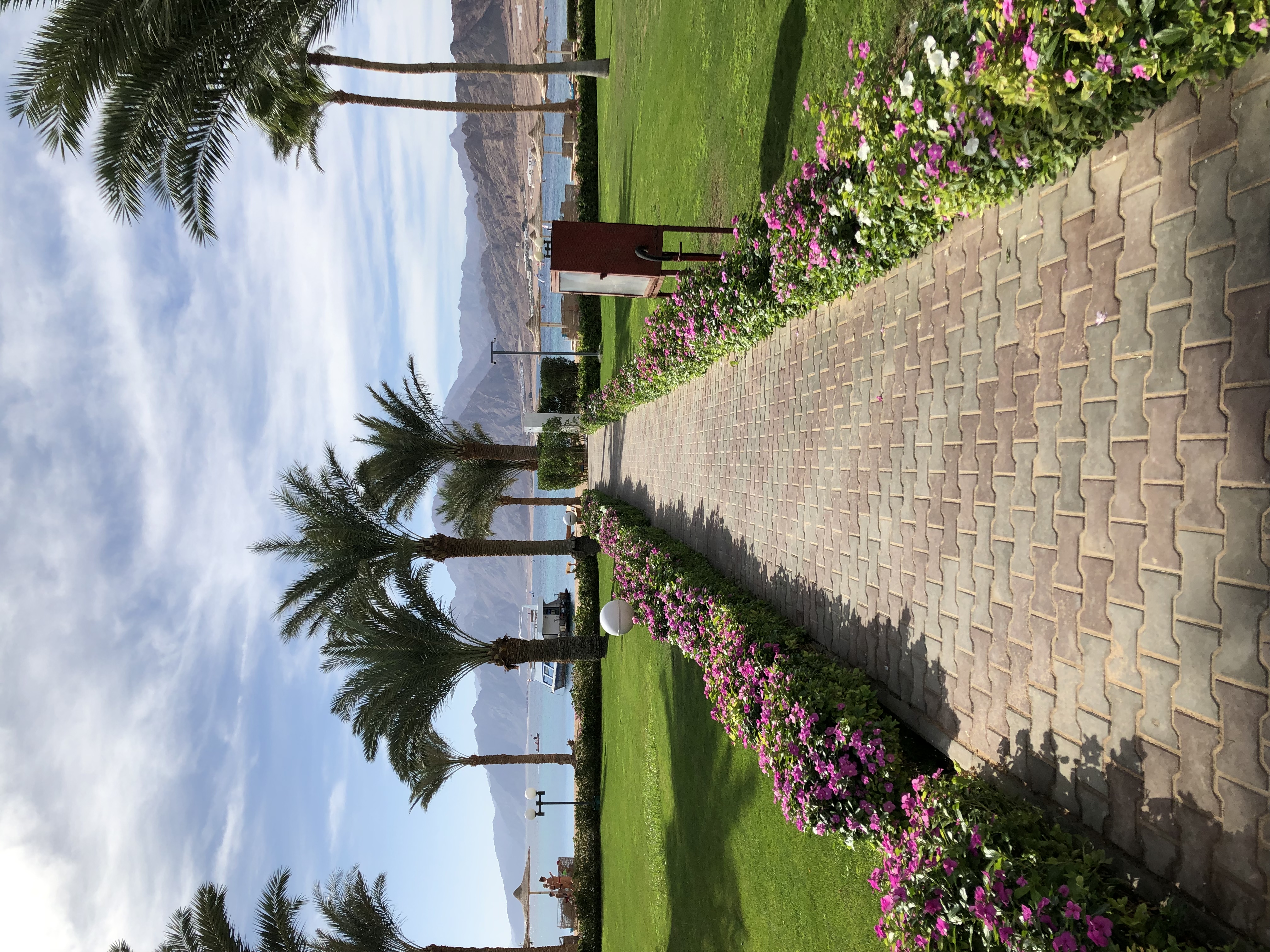 Фото Dahab Lagoon Club Resort