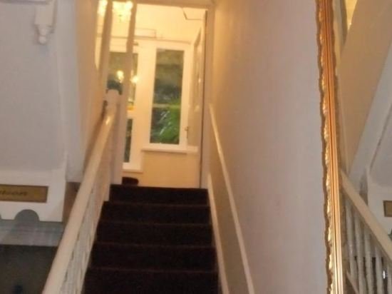 Фото Hotel Peppers