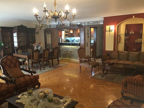 Luxurious Apartment
