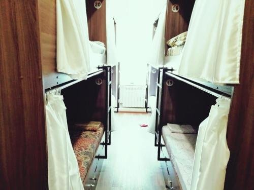 Фото Дружба