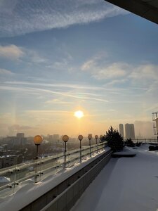 МонАрх