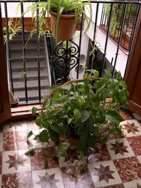 Фото Отель Silken El Pilar Andalucia