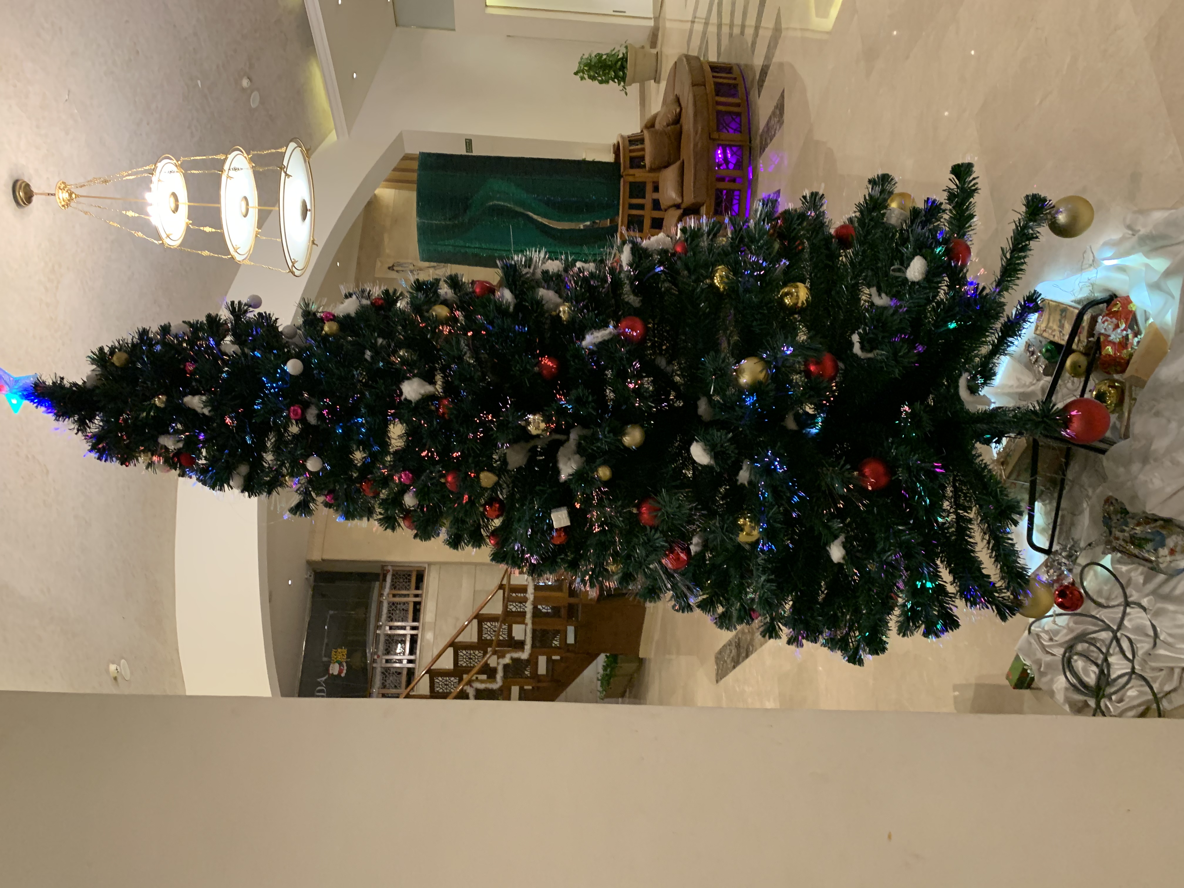 Фото Swiss Inn Resort Dahab