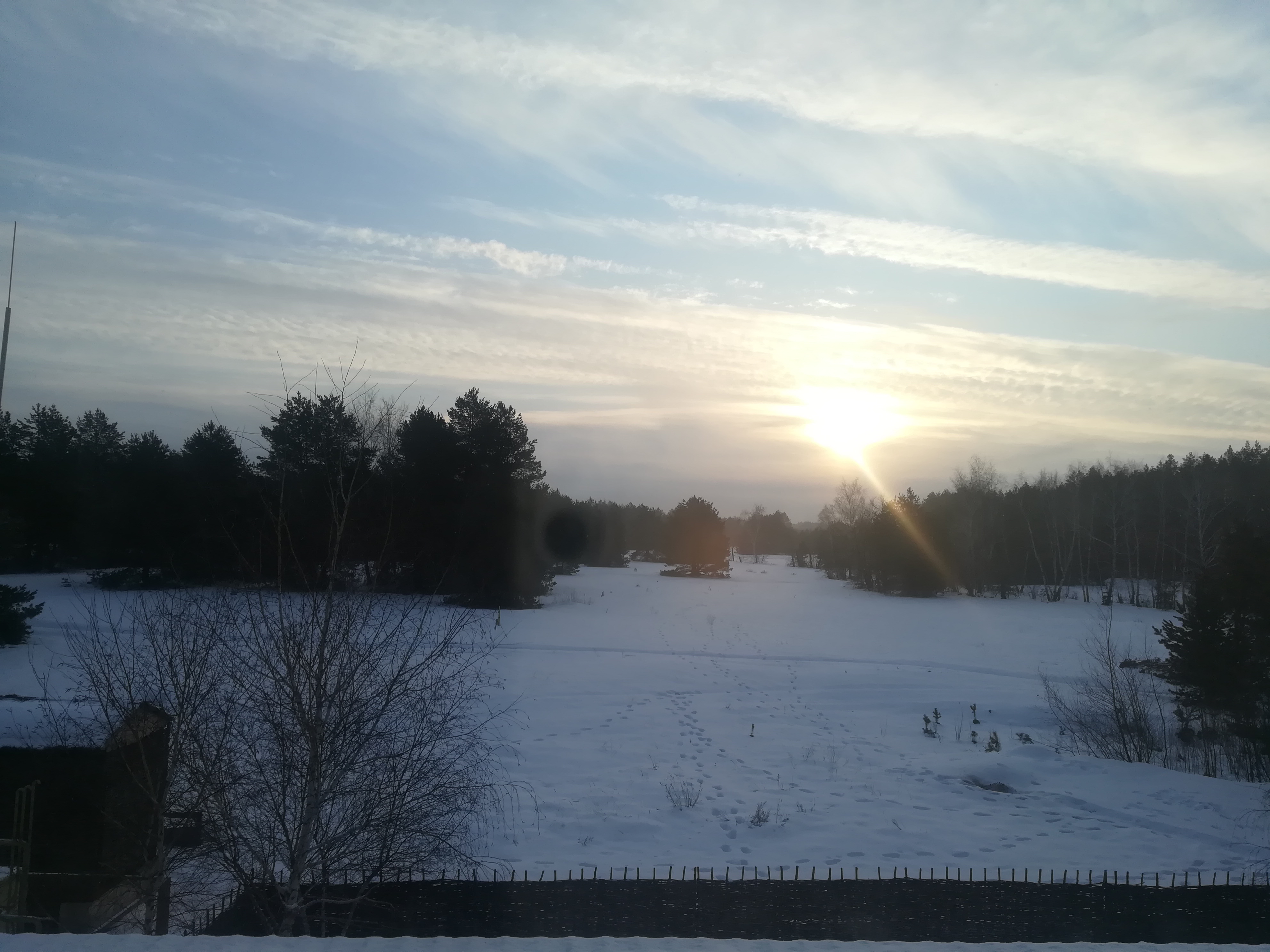 Фото Лесная