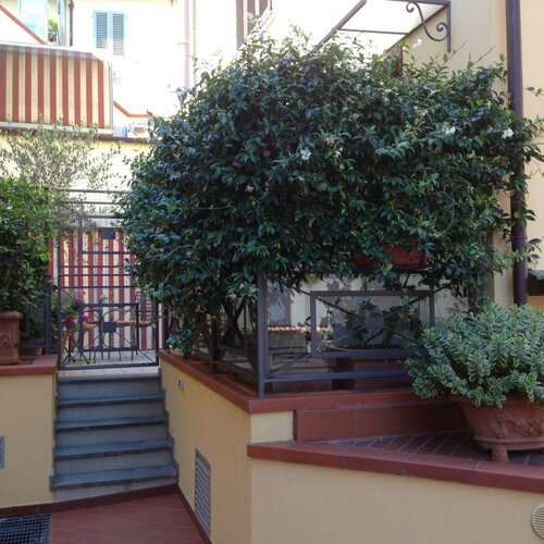 The Golden House Florence Suite