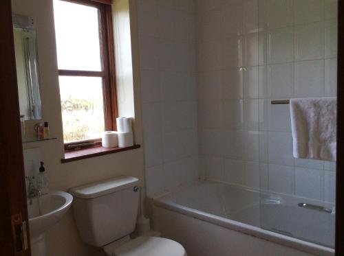 Фото The Fountain Oldwood