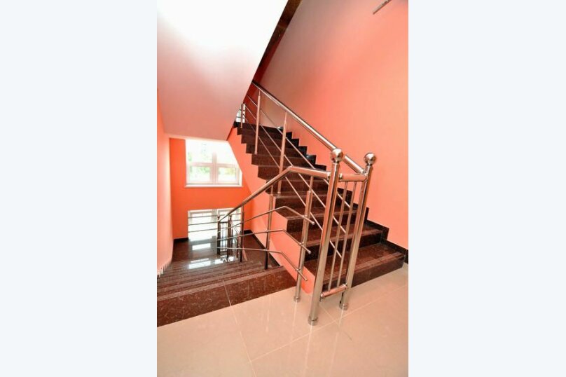 Фото Камела