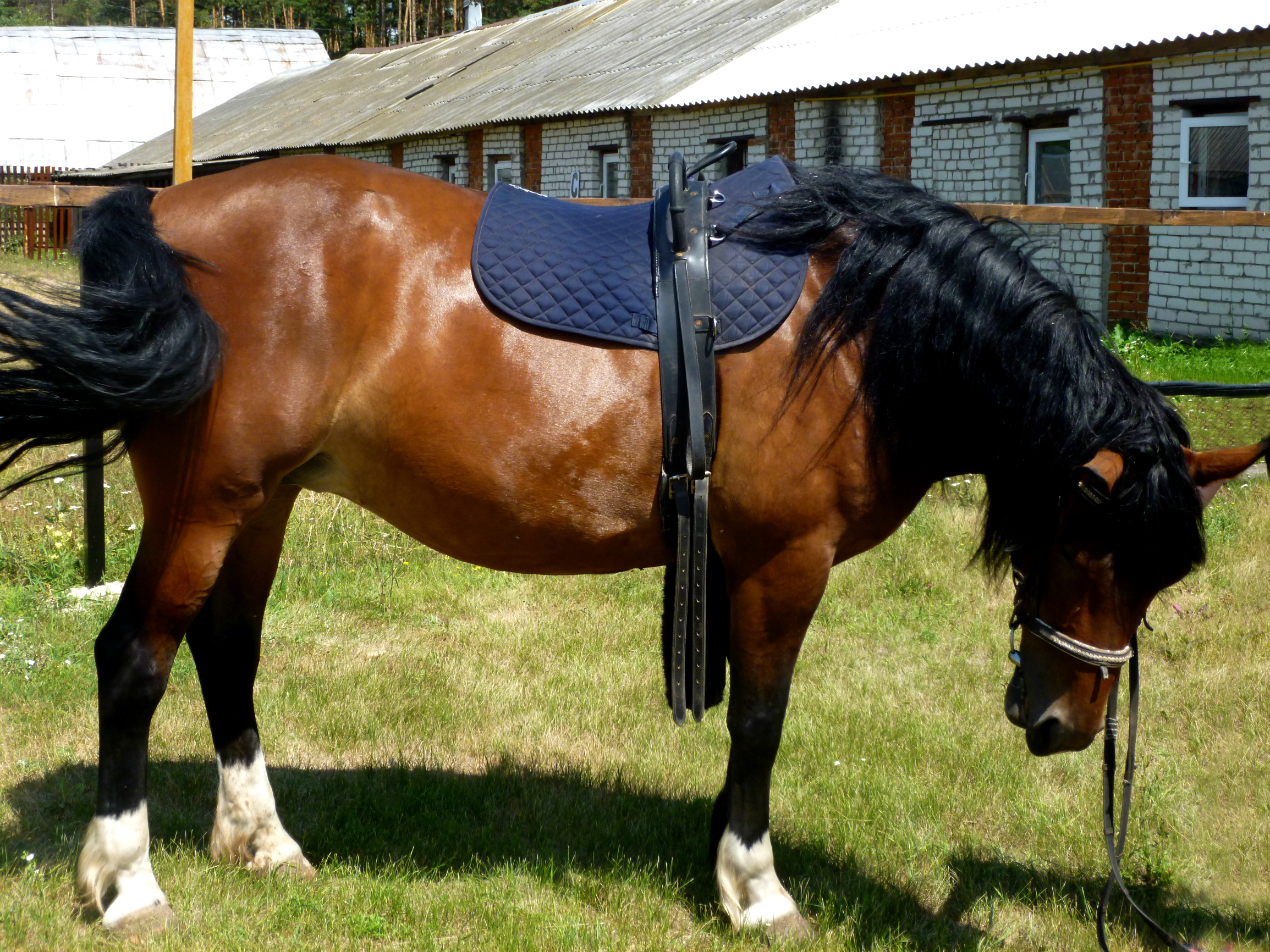 Фото Сумбулово