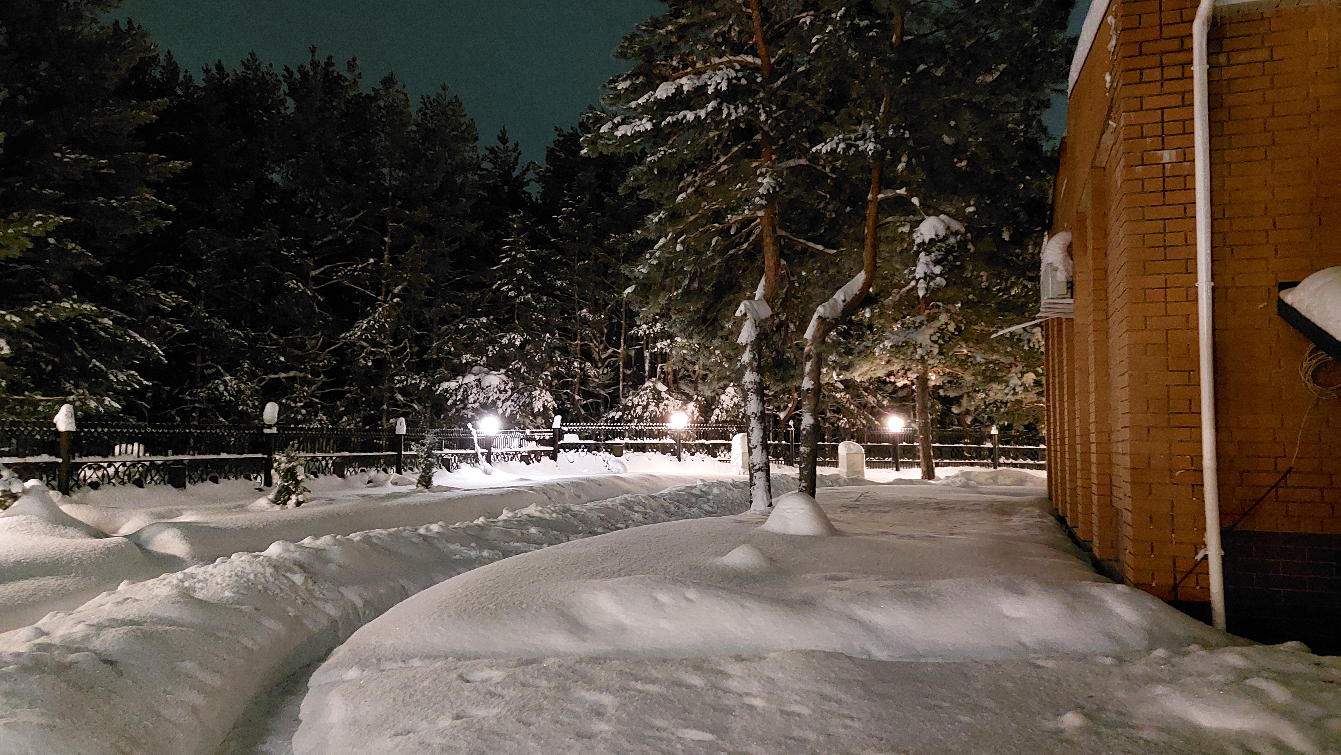 Фото Изумрудный лес