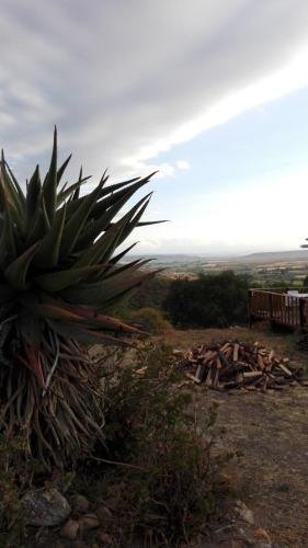 Фото Le Petit Karoo Ranch