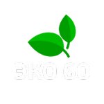 Эко-60 (Советская ул., 20), проектная организация в Пскове