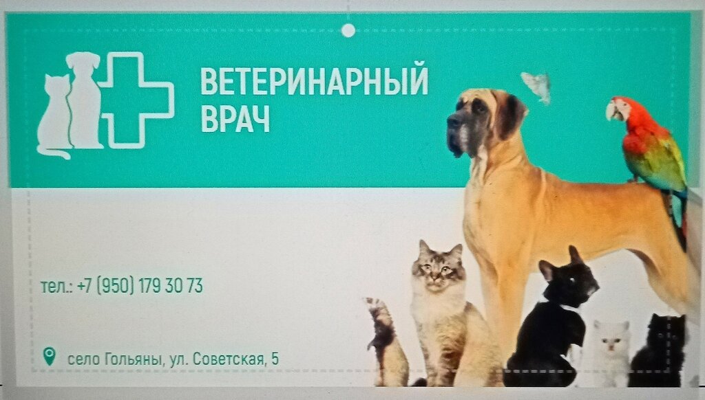 Veterinary clinic Golyanskaya uchastkovaya veterinarnaya lechebnitsa, Udmurt Republic, photo