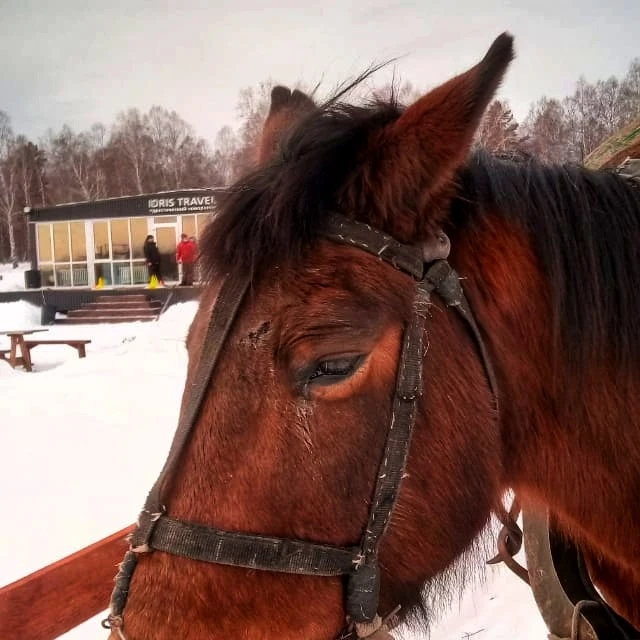 Фото IdrisTravel