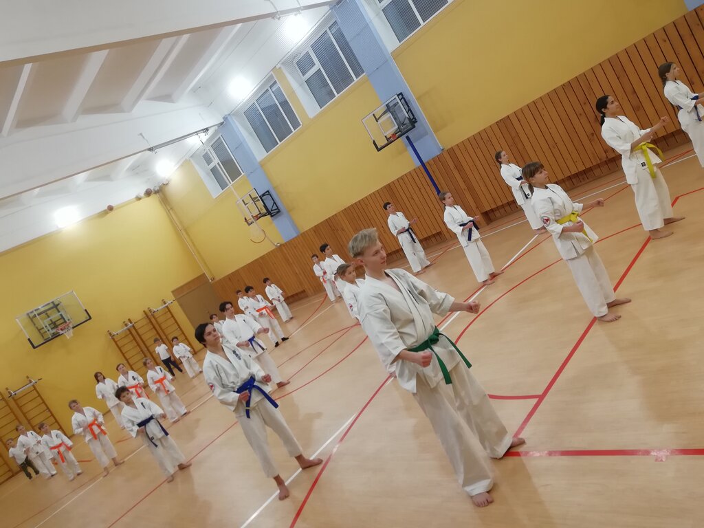 Sports club Federatsiya karate goroda Malenky samuray, Mytischi, photo