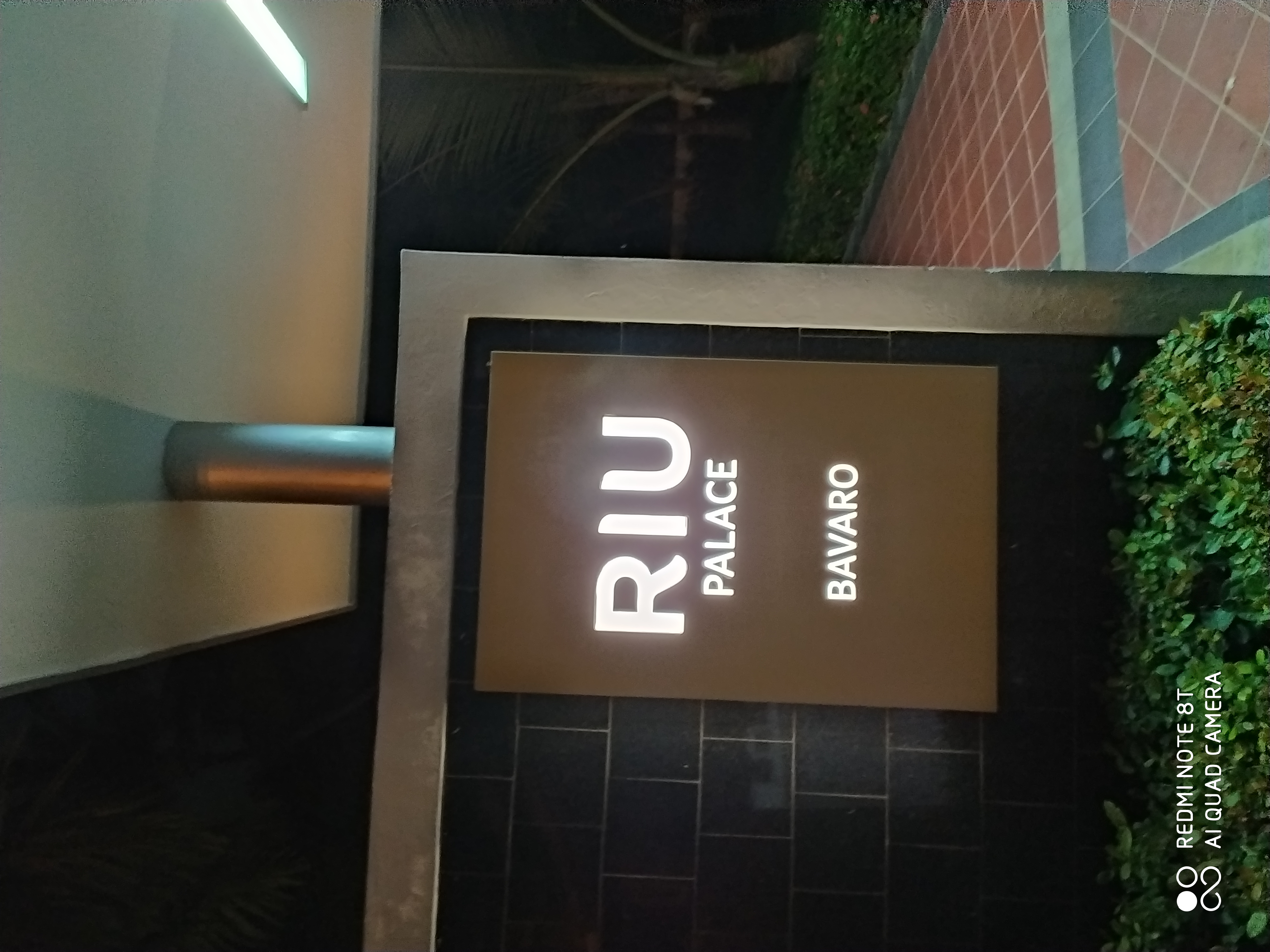 Фото Hotel Riu Palace Bavaro