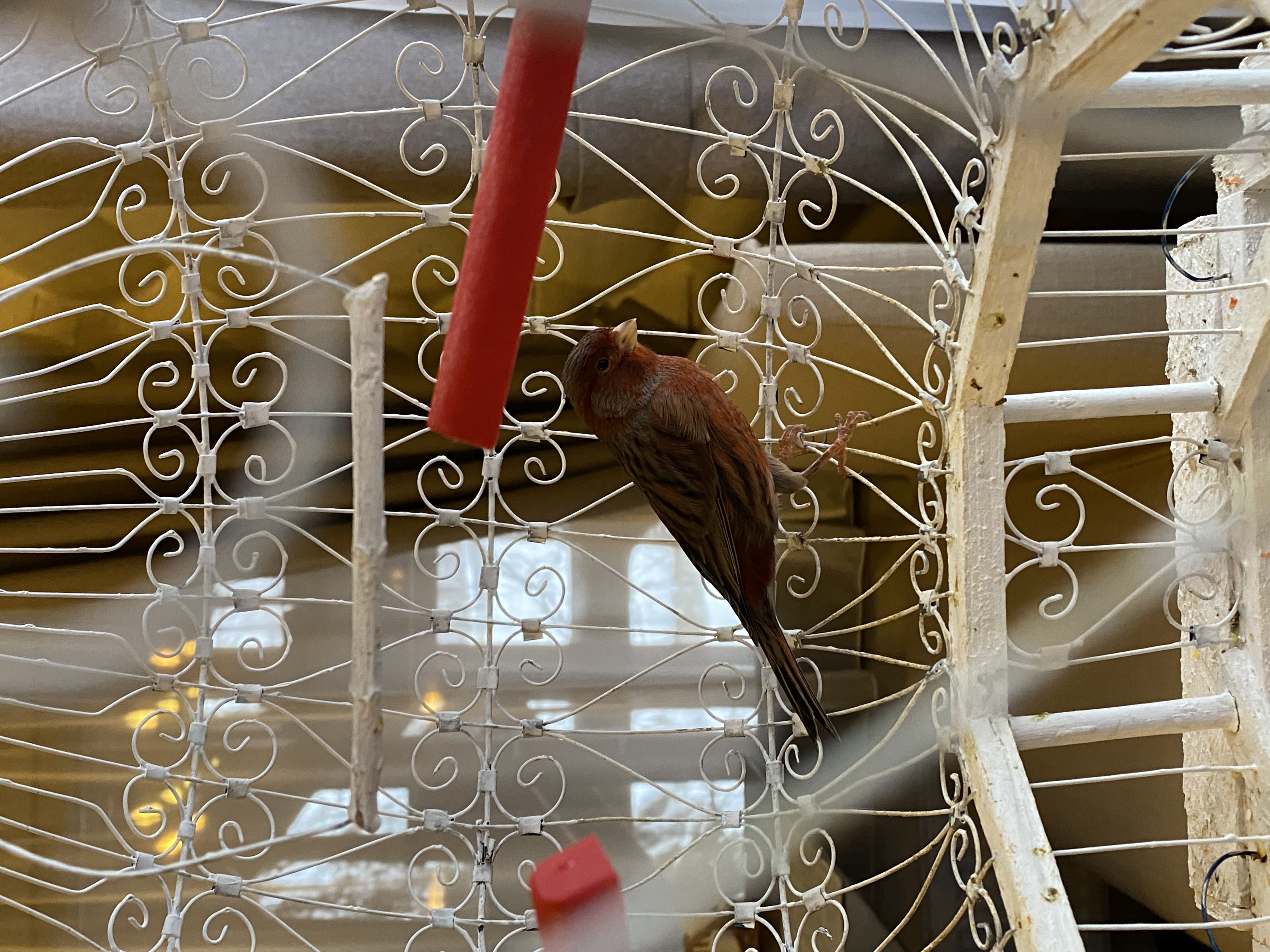 Фото Усадьба Маанселька