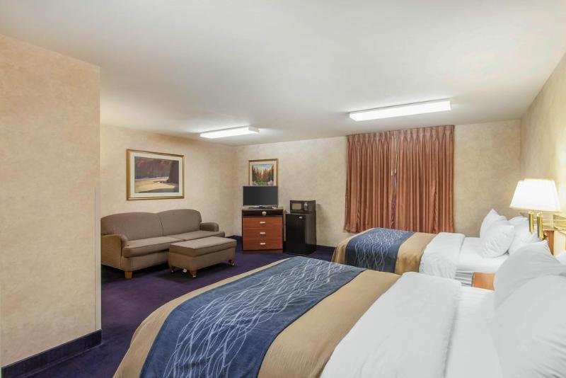 Фото Comfort Inn & Suites Sea-Tac Airport
