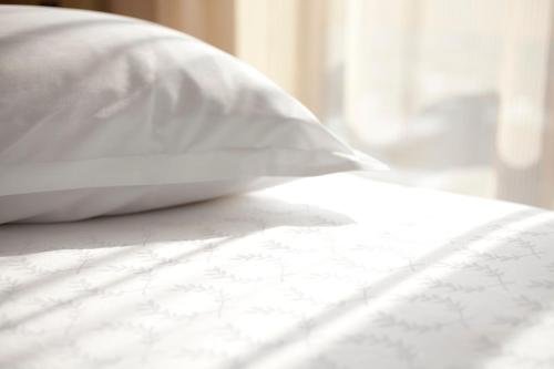 Фото Sheraton Brooklyn New York Hotel