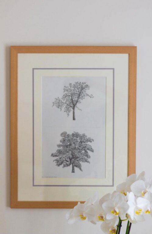 Фото Апарт-отель Residence Hilda