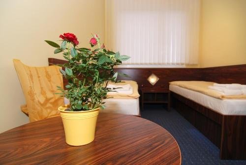 Фото Hotel Bílá Růže