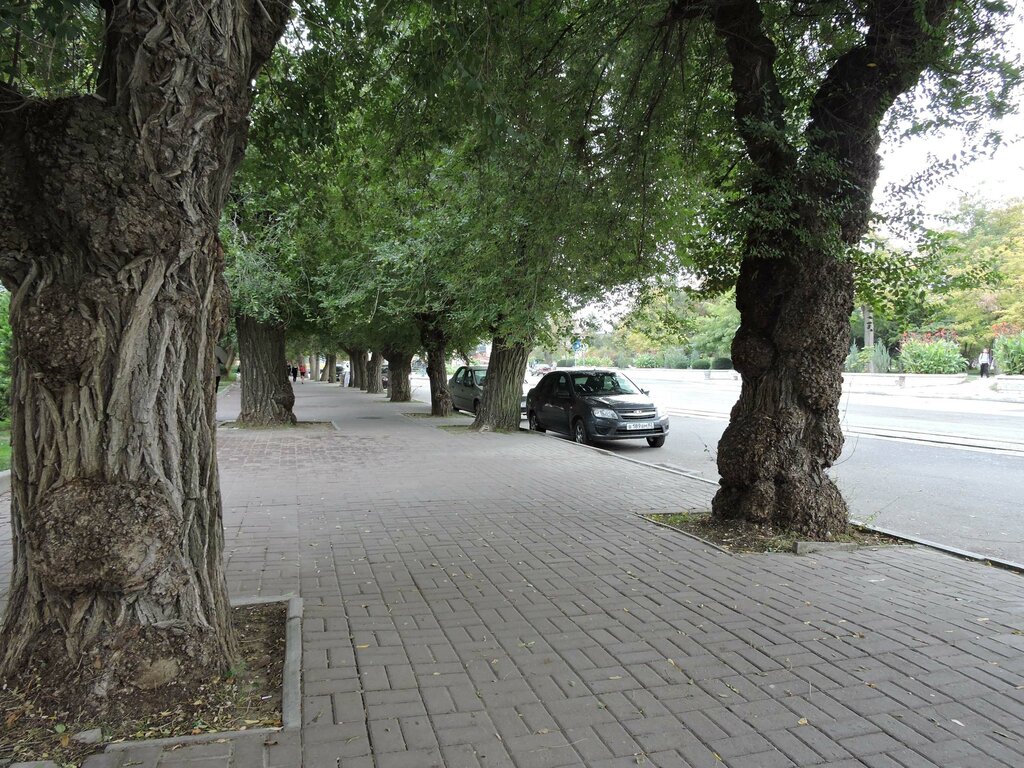 Парк караева в евпатории