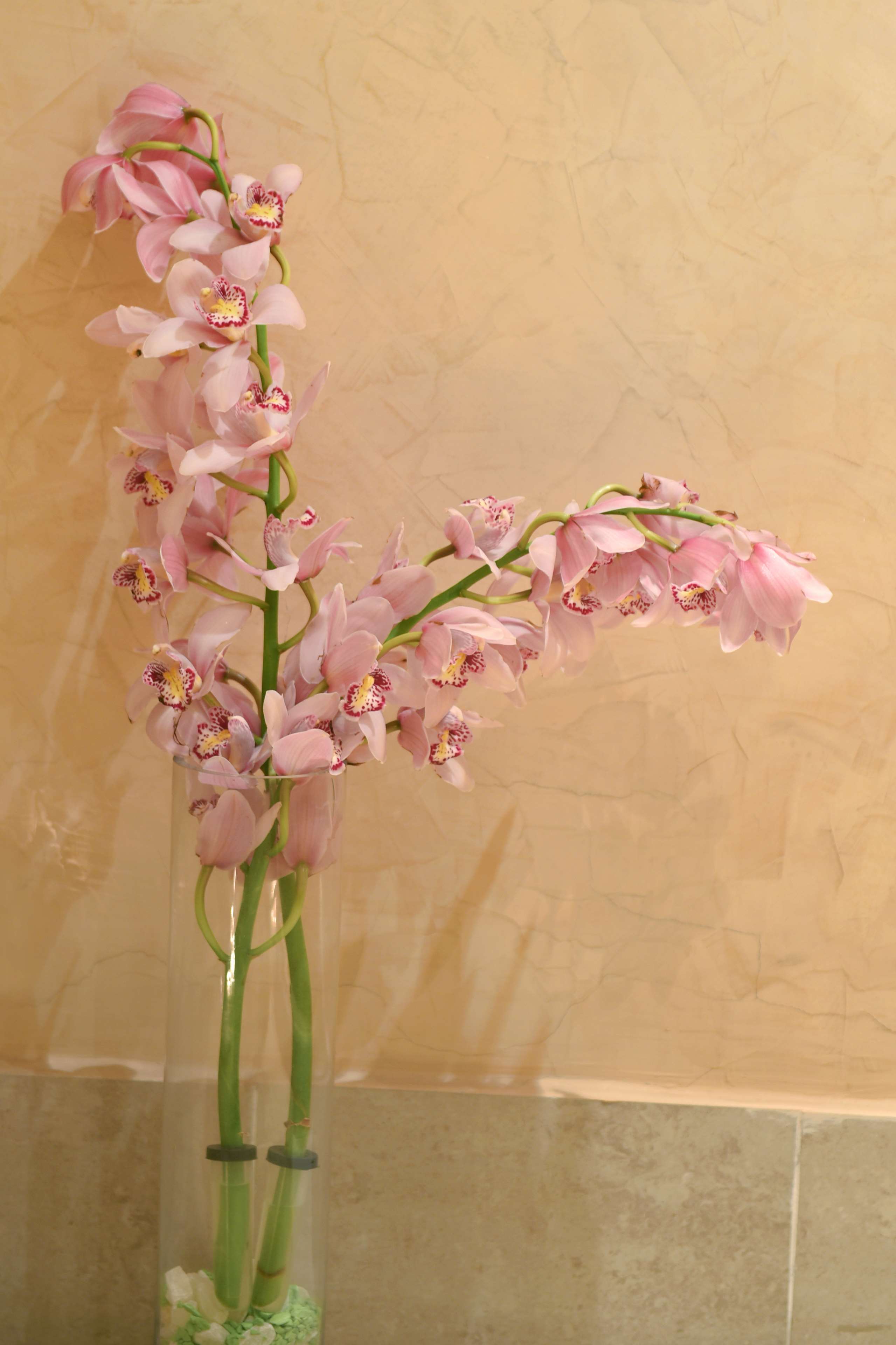 Фото Radisson Blu Hotel, Cairo Heliopolis