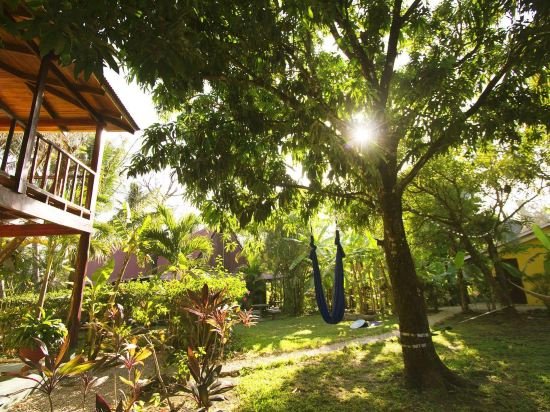 Фото The Sunset Shack