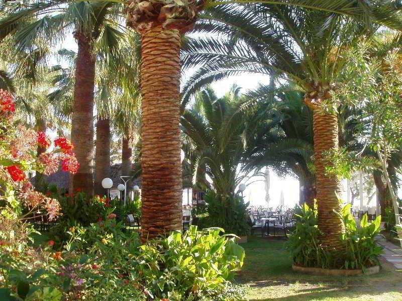 Фото Marita's Apartments