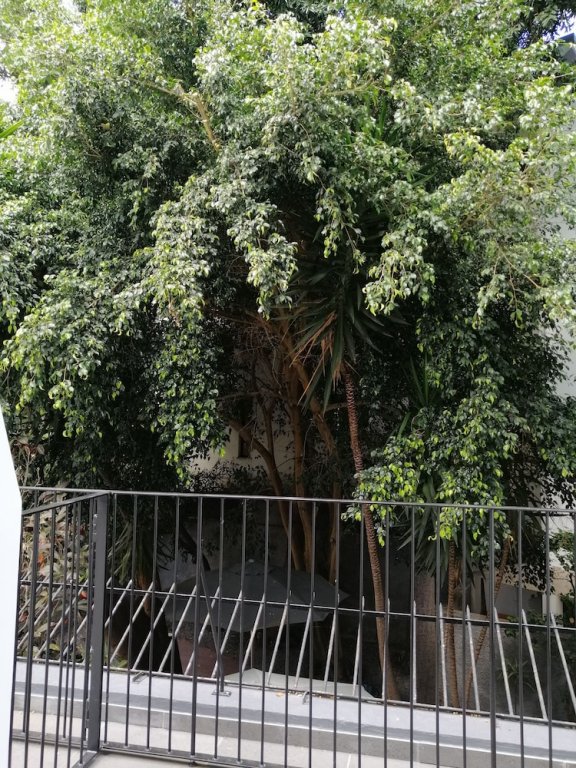 Фото Hotel do Carmo