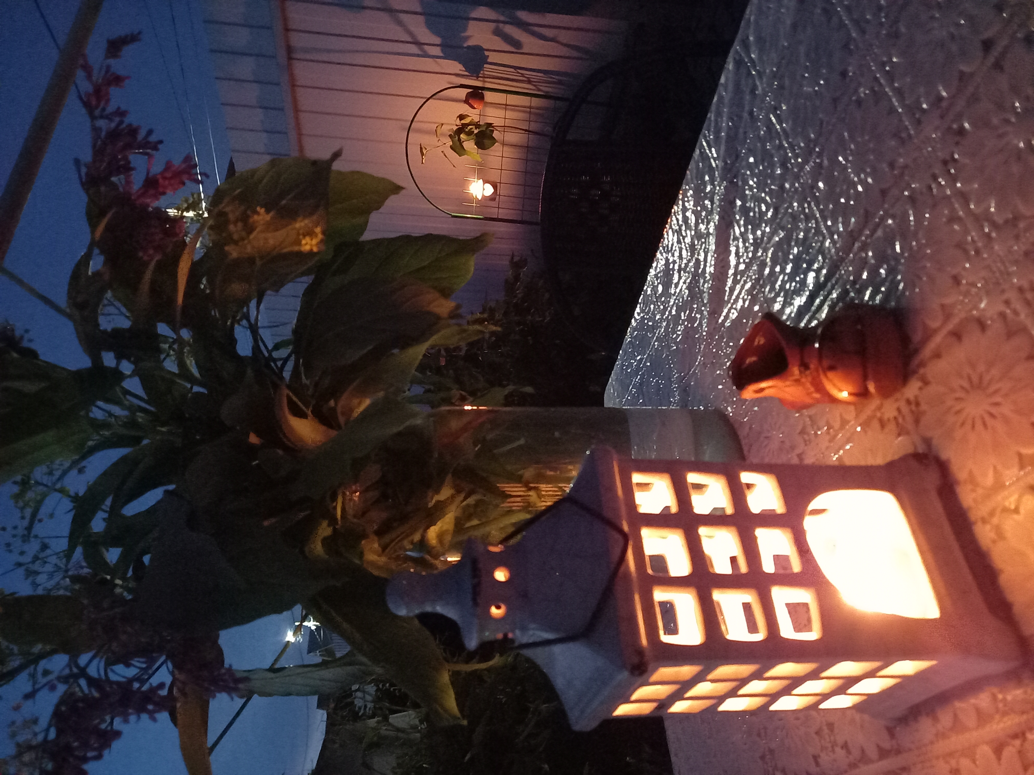 Фото В Центральном парке