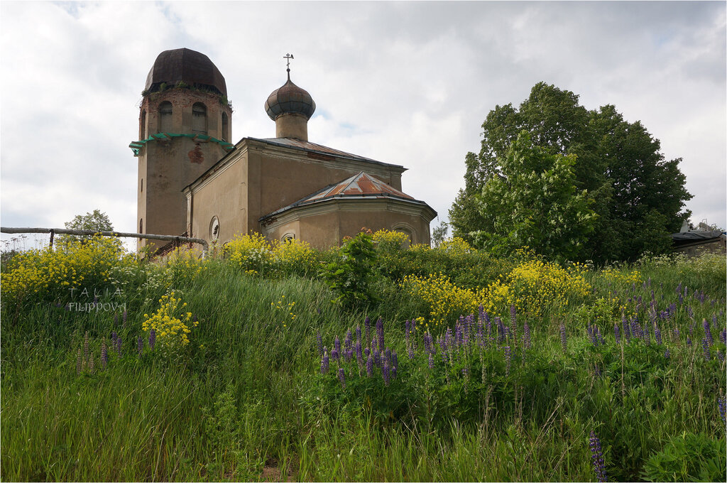 Orthodox church Tserkov Klimenta, papy Rimskogo, i Petra, arkhiyepiskopa Aleksandriyskogo, V Novoy Ladoge, Novaya Ladoga, photo