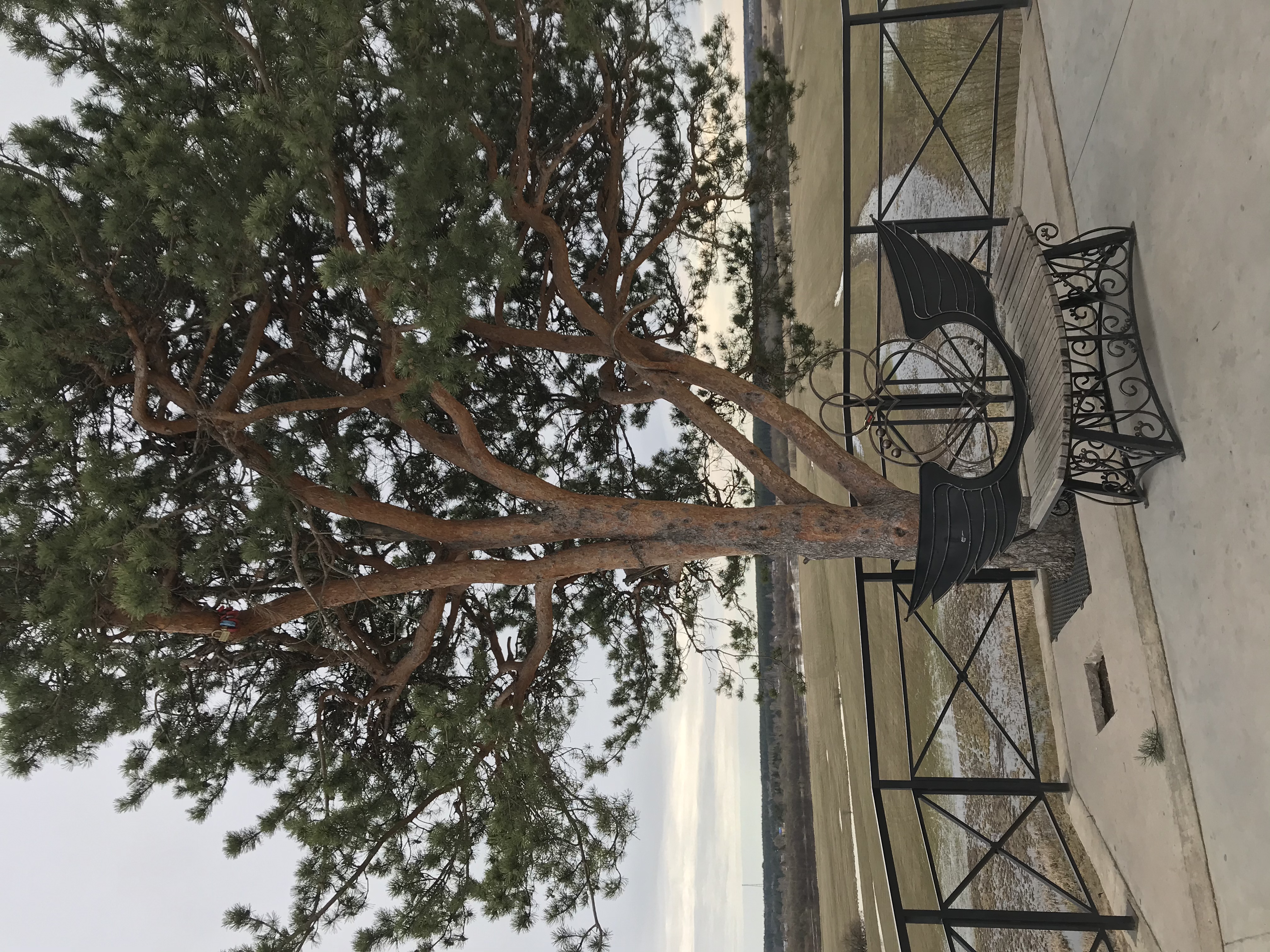 Фото Отель на Ваге