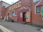 Ekoles (ulitsa Bogachyova, 3/2), lumber