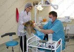 Clinic of a beautiful smile (Revolutsionnaya Street, 70лит2), dental clinic